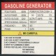 Benzininis generatorius SK950